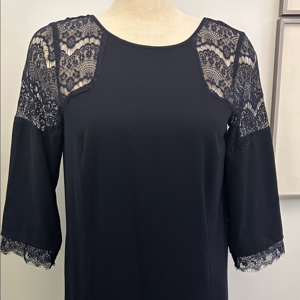 Local European Black Lace Sleeve Dress